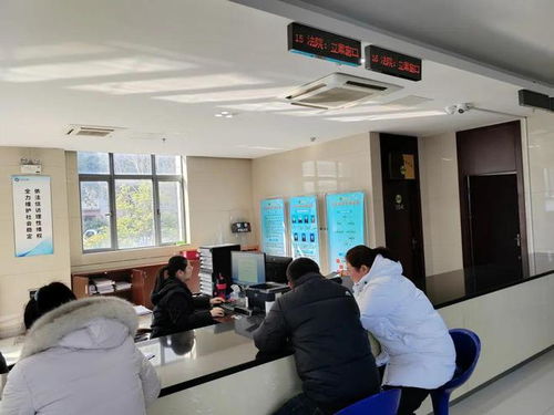 便捷惠民 延伸訴訟服務(wù)，啟東法院開通全國戶籍人口信息查詢功能